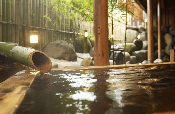 【往復新幹線指定席で行く】「ホテルグリーンプラザ上越」 1泊2日【滞在中リフト入場券付】！レンタルセット＆ウェア付【夕食・翌朝食付】2