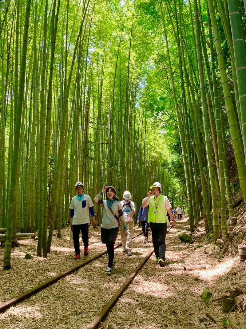 【出雲・斐川・松江・米子発】旧国鉄倉吉線・廃線跡ウォークと新緑の奥大山・木谷沢渓流散歩　日帰り1