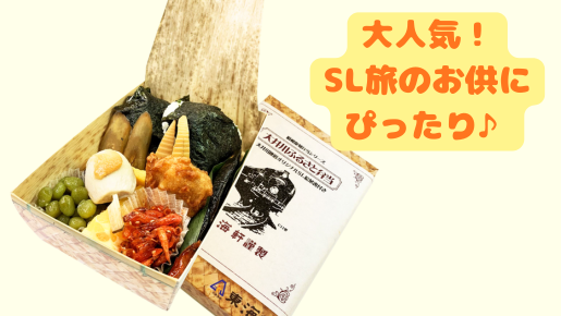 ＜Web割対象商品＞【キングツアーバス旅】SL運行開始50周年！大井川鐵道お花見SL列車♪家山の桜トンネルと第一橋梁＆抜里のお茶畑も車窓から♪〔調布・狛江発〕2