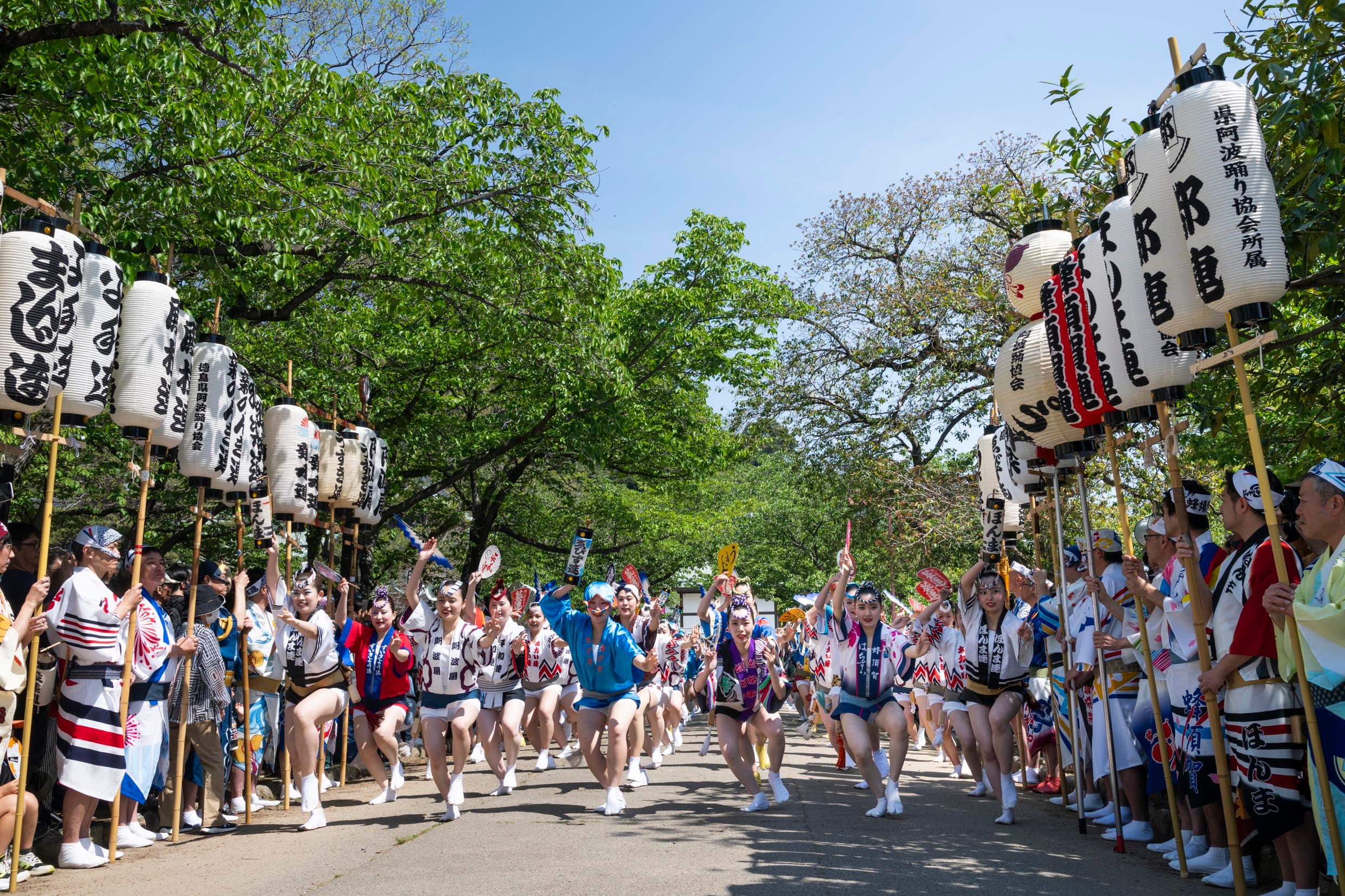 夏だけではなく、春も阿波おどり！ 徳島城阿波おどり2026と大塚国際美術館（たっぷり3時間！） （宿泊付きプラン）2