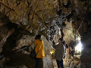 たびぱる納涼ミステリーツアー【河内磐船・枚方市・JR高槻発】