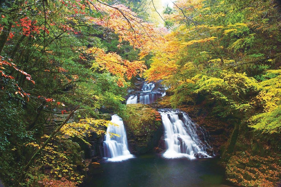 ＜三重＞日本の滝100選　赤目四十八滝　紅葉に染まる渓谷ハイキング【垂水･名谷･三宮出発】1