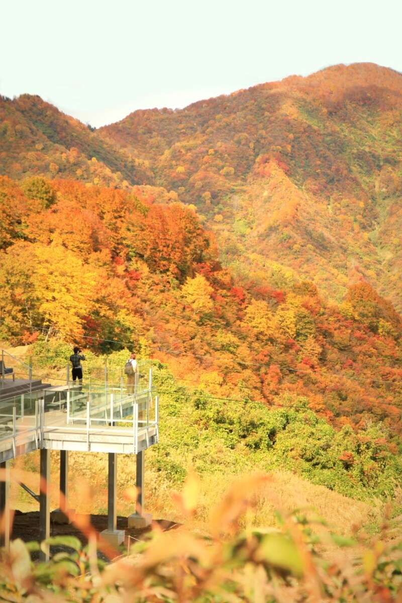 【栃木県内発】 ありがとう！よみうり栃木県60周年記念ミステリーツアー 日帰り1
