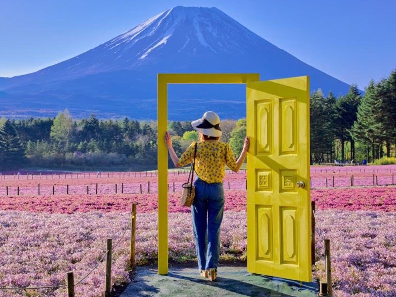 【新宿発】6,000円台～ぶっとび格安✨「富士芝桜まつり」富士山と芝桜の贅沢コラボ💕🗻＆ハーブ庭園🍃展望台から見る絶景富士山🗻＆旅の駅 kawaguchiko base（入場料込）2