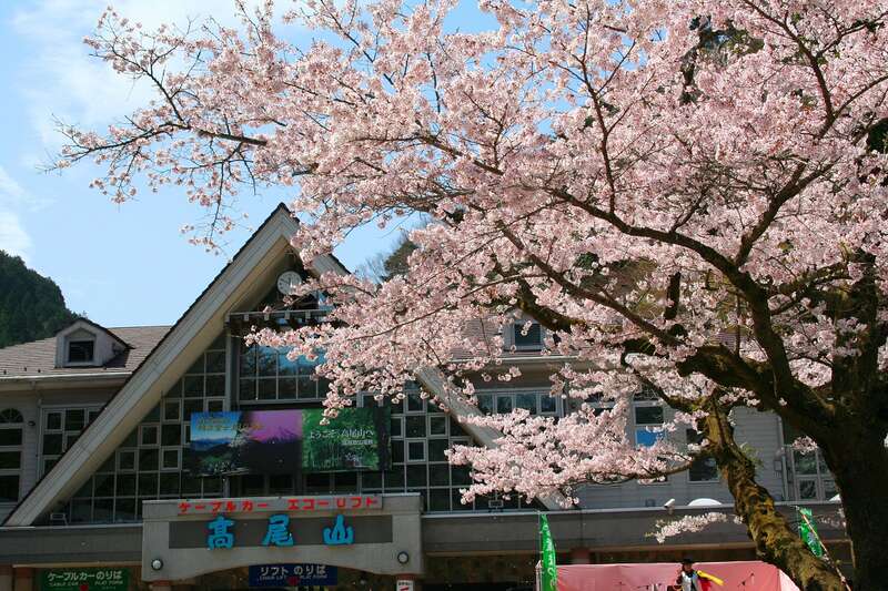 【岩手県・新幹線駅（盛岡駅～一ノ関駅）発】 JRで行く！春色の高尾山・秩父長瀞・小江戸川越散策と寳登山神社参拝2日間2