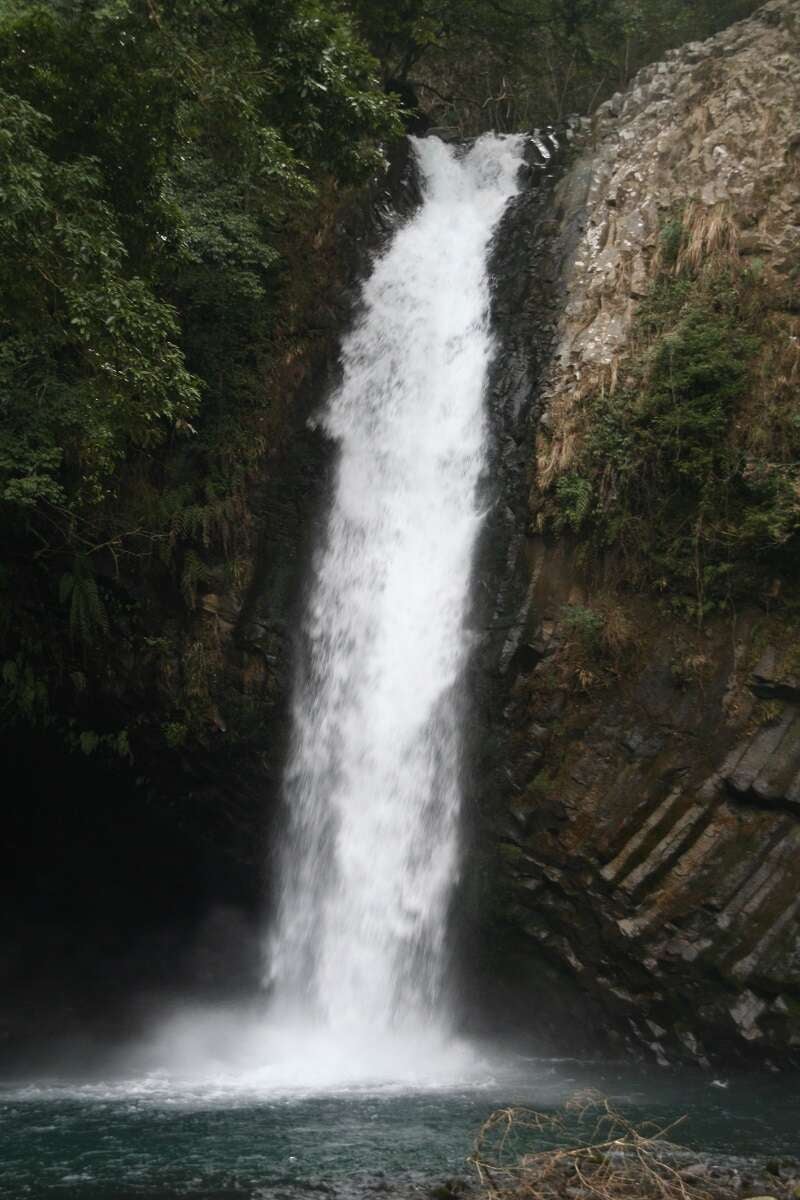 【富山県内発】 第36回　河津桜まつり と 浄蓮の滝・三島スカイウォーク　修善寺温泉　２日間2