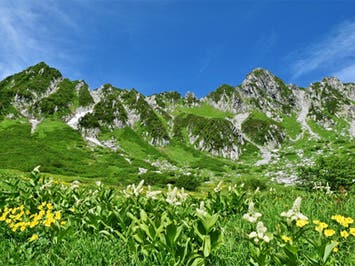 中部発　日帰り　２，６１２ｍの雄大な大自然！日本百名山を散策！超絶景！夏の避暑地！中央アルプス「千畳敷カール」たっぷり３．５時間ハイキング！＜JAMJAM TOUR＞