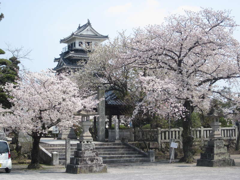 【松山駅～川之江駅発】 大分・熊本「桜舞う名城・名所さくら街道」と阿蘇くじゅう絶景露天風呂2日間2