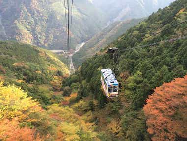 【JR岩国駅発】 紅葉の石鎚山ロープウェイdeパノラマ空中散歩　日帰り
