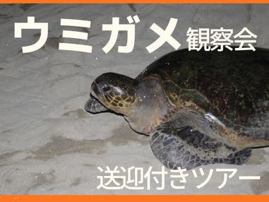 【夜のウミガメ観察会付き】往復航空機利用で行く世界遺産「屋久島」　TheHotelYakushima OCEAN＆FOREST指定【部屋タイプを選択可能】　2泊3日