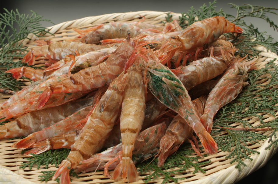 【岡山発着】鳥取幻のエビ🦐！　モサエビ尽くし！　ベストシーズンに行く山陰松島遊覧🚤2