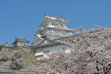 【新千歳空港発】 《お一人様1室／バス席２席利用》きままにお花見一人旅　世界遺産・姫路城と幕末志士の京都を訪ねて（3日間）