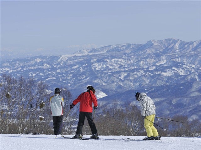 ■●夜発日帰り　池の平温泉アルペンブリックスキー場1
