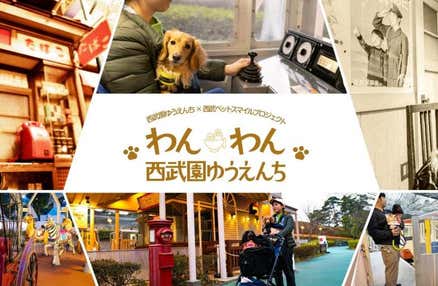 【愛犬同伴プラン】(10/24)【愛犬同伴プラン】秋の『わんわんゆうえんち』で昭和レトロな西武園ゆうえんちをたっぷり満喫♪チーズの美味しいイタリアンランチや小江戸川越散策等、レトロに触れる日帰りvipわんツアー!