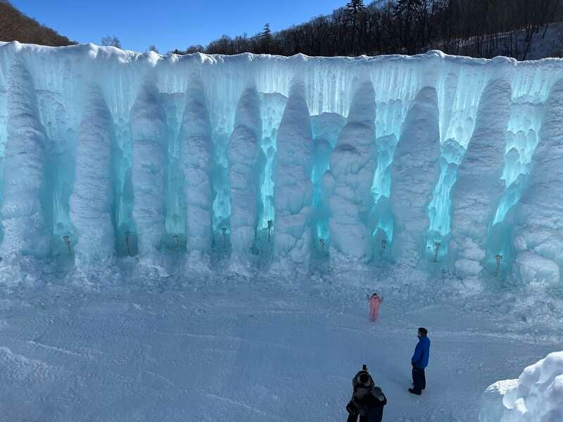 【大分空港発】 《野鳥観察》白銀の北海道「雪の妖精」シマエナガを捜せ！ （３日間）2