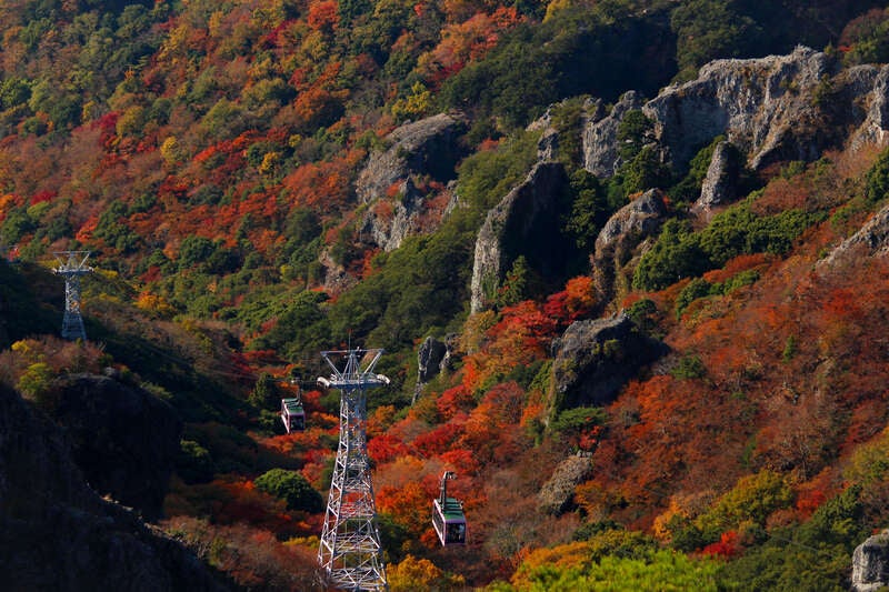 【高知県内発】 秋色の小豆島 寒霞渓ロープウェイ 日帰り1