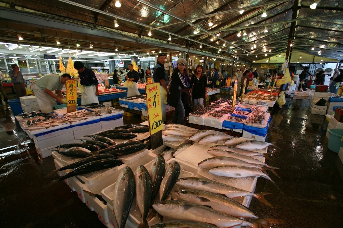 【名取・岩沼・白石地区発】 見渡す限りの青の絶景！国営ひたち海浜公園ネモフィラと 那珂湊で海産物のお買い物  (日帰り）2