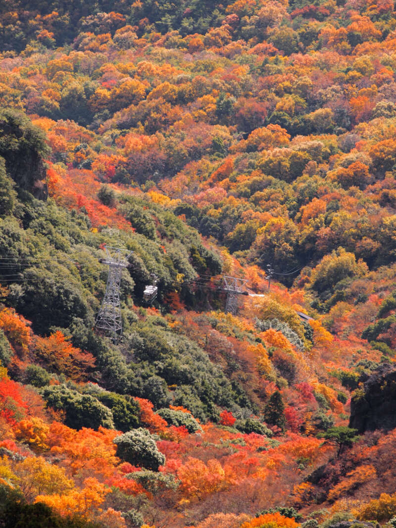 【JR福山駅発】紅葉の小豆島・寒霞渓ロープウェイde空中散歩  日帰り1