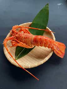 【JR広島駅発】イセエビ丸ごと1尾付！北九州かにかにかにカーニバル　日帰り