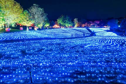 【米沢・高畠・南陽・山形市内発】旅のすごろく市12月（最終回）　宮城最大級やくらいガーデンイルミネーションと港町・石巻でおいしい海の幸＆年末のお買い物（日帰り）