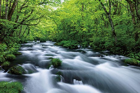 ＜極＞豊潤なる「津軽海峡越え」の美食と道南・みちのく錦秋めぐり 4日間　～約120平方メートル温泉展望風呂付スイートルームに連泊～1