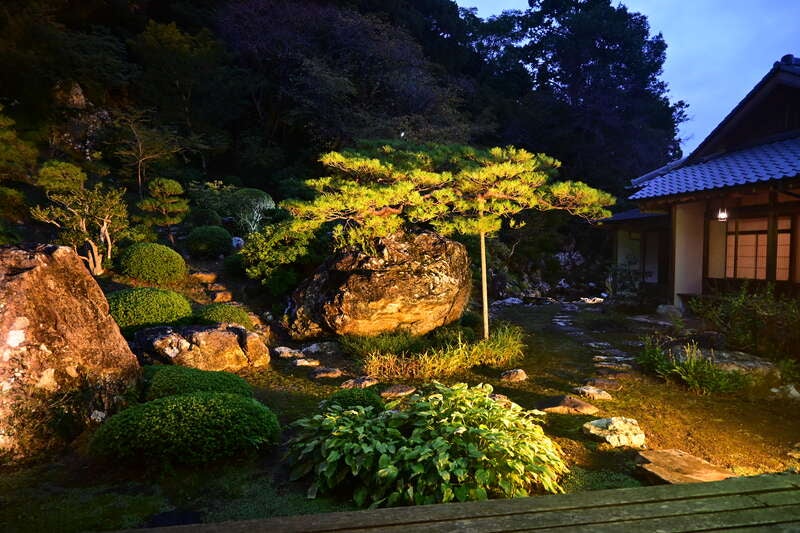 【米子・安来・松江・斐川・出雲市発】 「高知県立牧野植物園・南園」夜間見学と 竹林寺ライトアップ ２日間1
