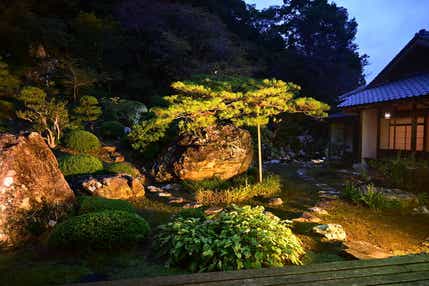 【米子・安来・松江・斐川・出雲市発】 「高知県立牧野植物園・南園」夜間見学と 竹林寺ライトアップ 2日間