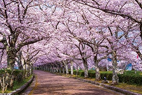 姫路・加古川　発
桜の名所～七谷川和らぎの道～と英国村3