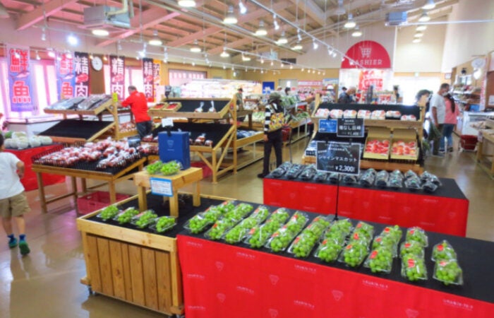 【横浜発】　栃木ぶどう狩りツアー ～地元人気和菓子店の工場直売スポットでお買い物♪～3
