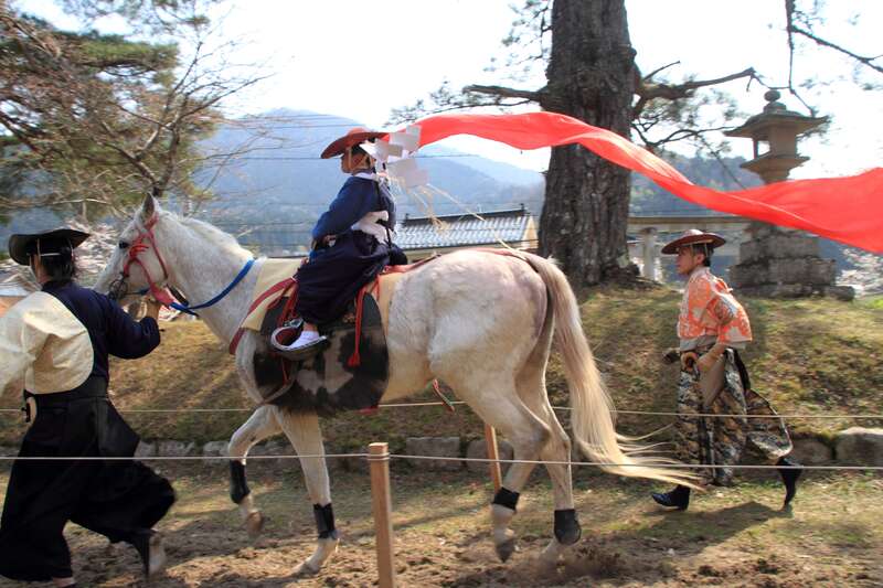 【岡山駅発】 鷲原八幡宮「流鏑馬神事」と徳佐八幡宮「しだれ桜」　日帰り3