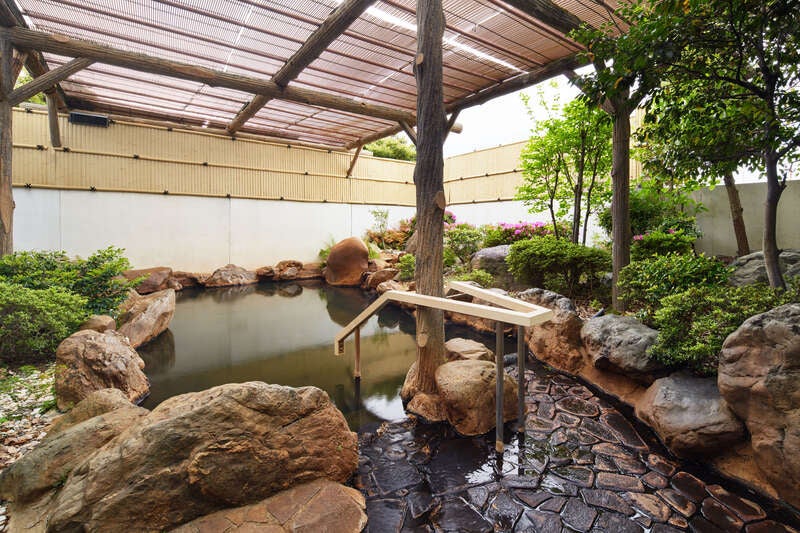 【大宮駅発】 京都6つの紅葉名所と湖東三山の紅葉・世界遺産、比叡山延暦寺　3日間3
