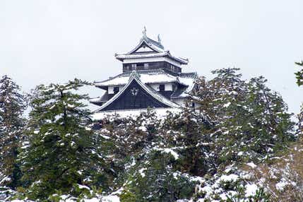【大分県内／小倉駅発】 本場境港で紅ズワイガニ食べ放題と冬の島根名所めぐり2日間