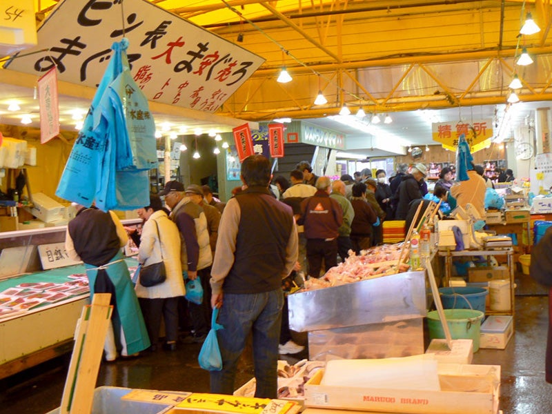 新宿発】8,000円台～ぶっとび格安✨ 酒列磯前神社のあじさい鑑賞💜＆那珂湊海鮮丼🐚＆道の駅常総🍠 茨城大満喫 日帰りバスツアー2