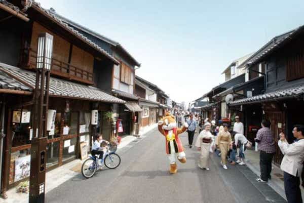 【和歌山市内ルート発】 香嵐渓ライトアップと約3000本！大矢田神社もみじ谷・城下町犬山散策２日間3