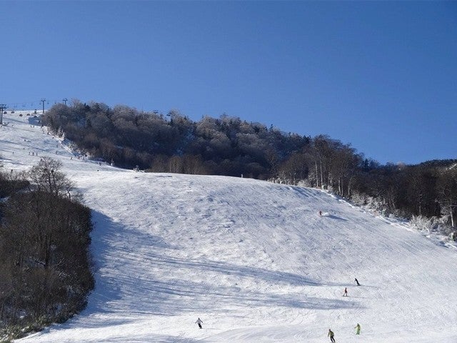 ■●【新宿発着Ａタイム】朝発日帰り かぐらスキー場【滞在約5時間-5時間30分】1