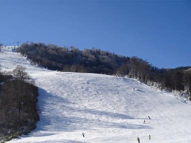 ■●【新宿発着Aタイム】朝発日帰り かぐらスキー場【滞在約5時間-5時間30分】