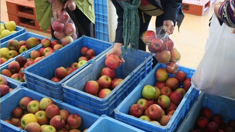 【富山県内発】 信州秋の大収穫祭！と小布施散策 日帰り2