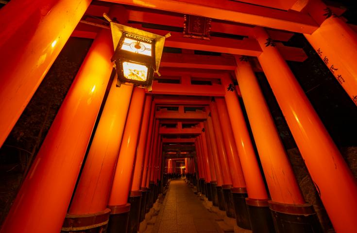 [難波発]京都夜景日帰りツアー(黒毛和牛神戸牛しゃぶしゃぶ/英語ガイド付)2
