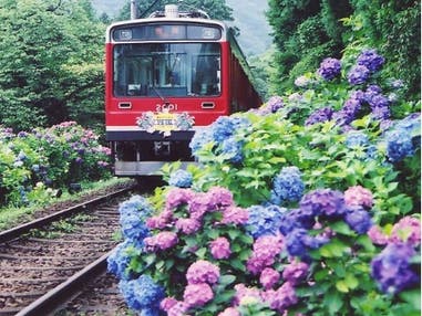 西船橋発　箱根あじさい電車＆芦ノ湖クルーズ＆ランチバイキング