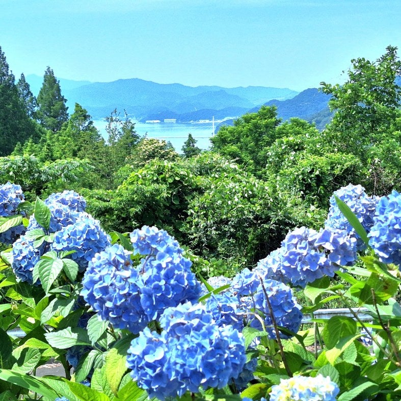 【高知県内発】 メルキュール京都宮津リゾート＆スパに泊まる！舞鶴軍港クルーズと天橋立 ２日間3