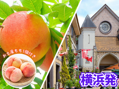 【横浜発】8,000円台～ぶっ飛び格安✨もも狩り食べ放題🍑お土産もも1個付き！×大人気信玄餅詰め放題×甲州料理＆スイス料理食べ放題🧀×ワイン飲み比べ放題🍷ミニワインボトルプレゼント♪盛り沢山山梨グルメ旅日帰りバスツアー🚌