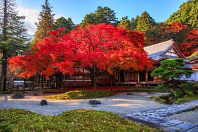 九州紅葉名所めぐり3日間～九年庵・御船山楽園・雷山千如寺・祐徳稲荷神社・竈門神社～3