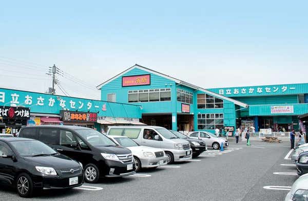 【早割30】[新宿発]秋のふわもこコキア鑑賞と茨城の人気「おさかな市場」＆めんたいパーク大洗へ！毎年大人気の日帰りバスツアー！3