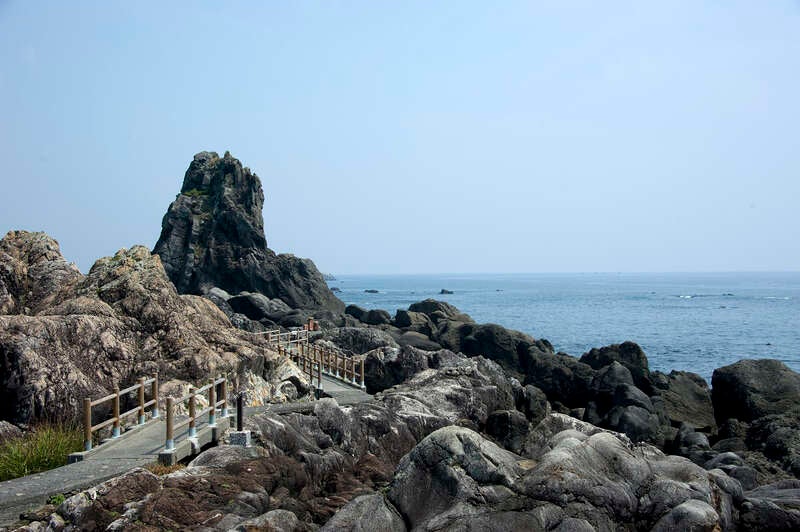 【岡山県内発】 行くぜよ！高知 絶景・うまいもんめぐり ２日間3