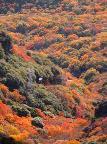 【倉敷・岡山発】 紅葉の小豆島・寒霞渓ロープウェイde空中散歩 日帰り
