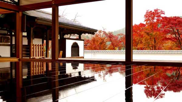 【東京都内発※町田を除く】 ～一度は見たい幻想世界～「宝徳寺」床もみじ特別公開と NEWオープン！ぐんまフラワパークプラス　とろける口福（こうふく）の「福豚しゃぶしゃぶ」ランチ　日帰り2