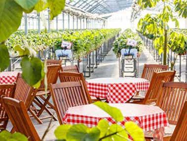 【泉州メインルート発】 滋賀県最大級「いちご園フェリーチェ」いちご狩り食べ放題とホテルで食す「カジュアルランチ」　滋賀・日帰り