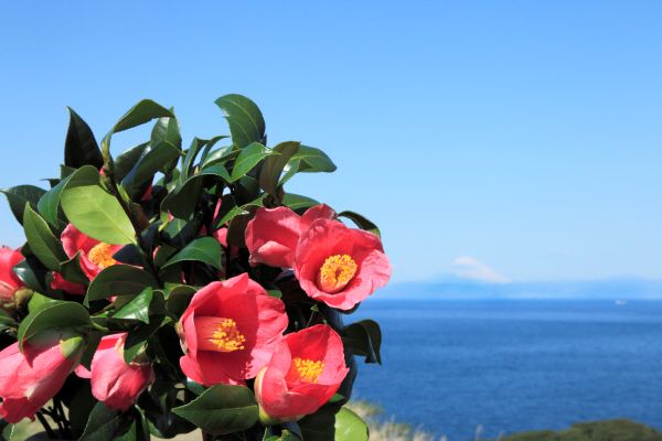 「オーミるんるん ♪ほたるんツアー」近江トラベル守山支店オリジナル企画1