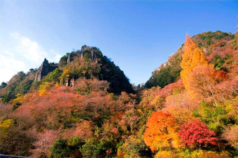 【群馬・栃木県内発】 秋シーズン数日間のみ限定公開！特別名勝「九年庵」一般公開と日本屈指の紅葉名所を巡る九州絶景紀行3日間3