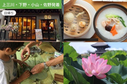 【上三川・下野・小山・佐野発着】夏限定!早朝の涼を楽しむ横浜紀行 ~三渓園観蓮会と中華街散策~【朝食付】
